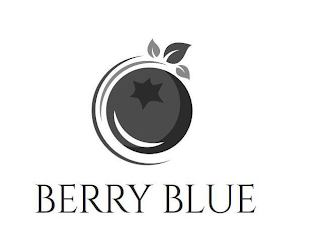 BERRY BLUE logo