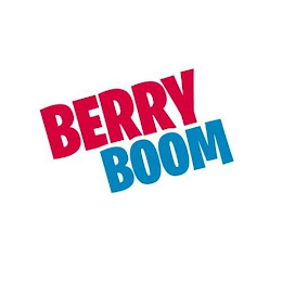 BERRY BOOM logo