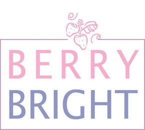 BERRY BRIGHT logo