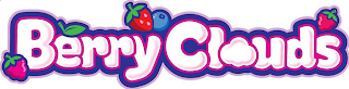 BERRY CLOUDS logo