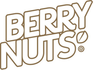 BERRY NUTS logo