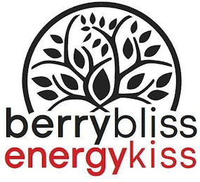 BERRYBLISS ENERGYKISS logo