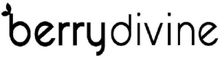 BERRYDIVINE logo