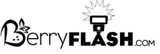 BERRYFLASH.COM logo