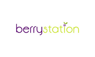 BERRYSTATION logo