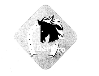 BERTERO logo