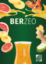 BERZEO logo