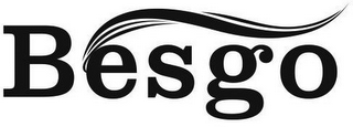 BESGO logo
