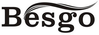 BESGO logo