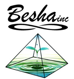 BESHA INC logo