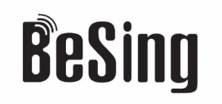 BESING logo