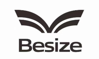 BESIZE logo