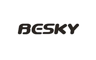 BESKY logo