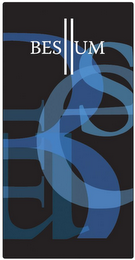 BESLLUM logo
