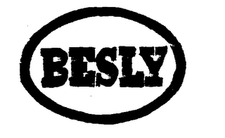 BESLY logo