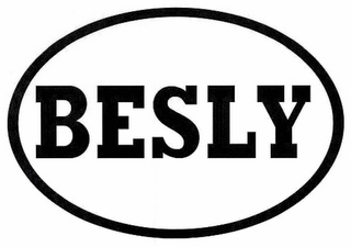 BESLY logo