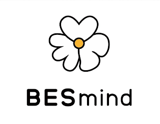 BESMIND logo