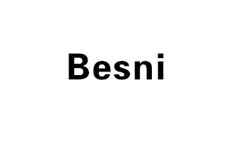 BESNI logo