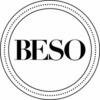 BESO logo