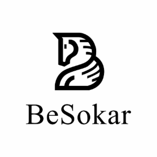 BESOKAR logo