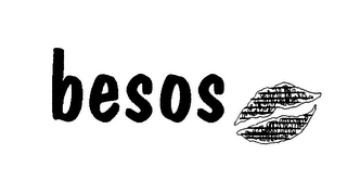BESOS logo
