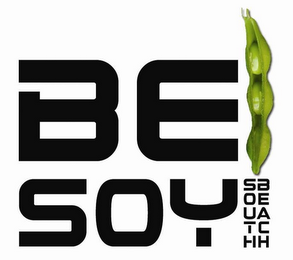 BESOY SOUTH BEACH logo