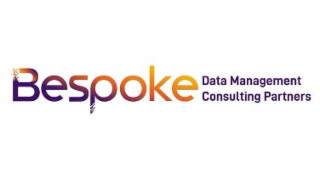 BESPOKE DATA MANAGEMENT CONSULTING PARTNERS logo