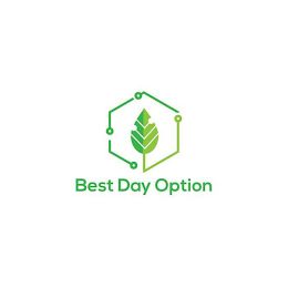 BEST DAY OPTION logo