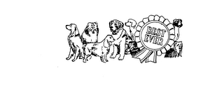 BEST EVER logo