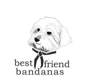 BEST FRIEND BANDANAS logo