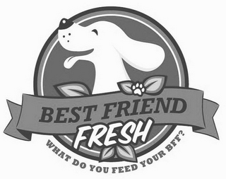 BEST FRIEND FRESH WHAT DO YOU FEED YOUR BFF? logo