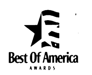 BEST OF AMERICA AWARDS logo