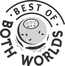 BEST OF BOTH WORLDS logo