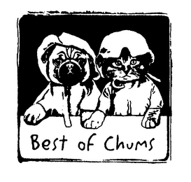 BEST OF CHUMS logo