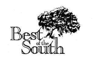BEST OF THE SOUTH logo