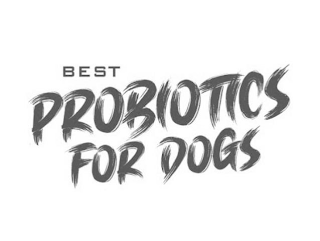 BEST PROBIOTICS FOR DOGS logo