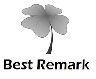 BEST REMARK logo