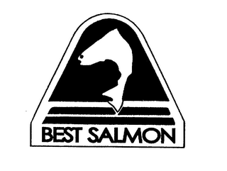BEST SALMON logo