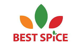 BEST SPICE logo