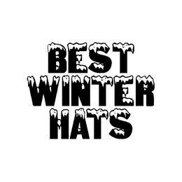 BEST WINTER HATS logo