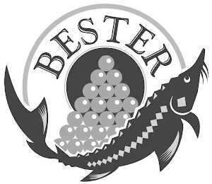 BESTER logo