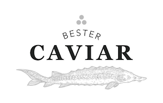 BESTER CAVIAR logo