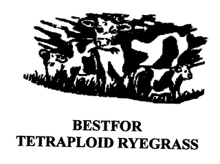 BESTFOR TETRAPLOID RYEGRASS logo
