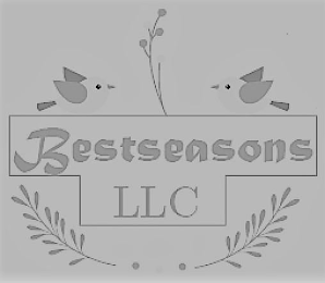 BESTSEASONS LLC logo