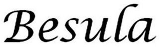 BESULA logo