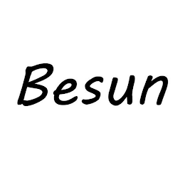 BESUN logo