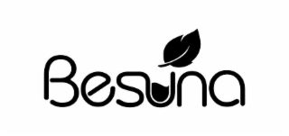 BESUNA logo
