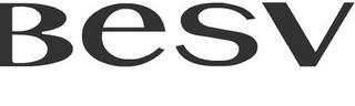 BESV logo