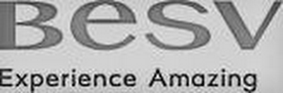 BESV EXPERIENCE AMAZING logo