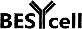 BESYCELL logo